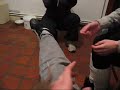 saut-de-ratte.html