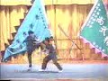 Kung Fu Dragon