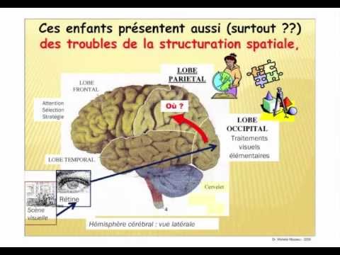 Image de prévisualisation YouTube