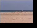 Immense plage de La Fanqui