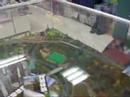 Model train w/ Camera