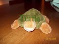 turtle vs. stupid guy.wmv