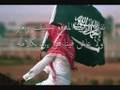 حامد زيد - المملكة عندنا غير - ديوان الجمهرة