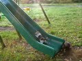 Kittens on a Slide Original Version Kittens on a Slide Original Version
