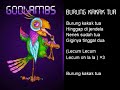acapella - Burung Kakak Tua