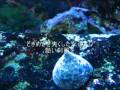 【歌の部屋】70 EXILE Lovers Again
