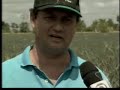 Bom Dia ES - Produ��o de abacaxi - 03/10/08