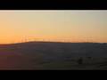 videos de stone