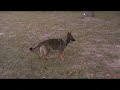 MOV03A