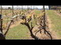 Bodega Merrutxu Upeltegia