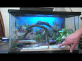 How to Care for Leopard Geckos : Leopard Gecko Habitats How to Care for Leopard Geckos : Leopard Gecko Habitats
