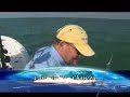 How to catch land and DeBarb Sting Rays for bait!