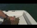 How to catch land and DeBarb Sting Rays for bait!