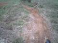 videos de Pit Bike - Daniel Bender - Vholdr