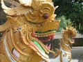 Stunning Siam