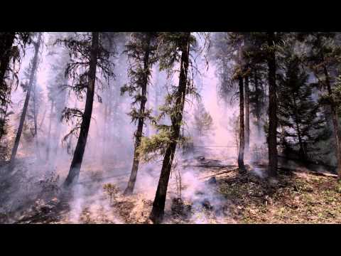 living - I hung out with the Snake River Hotshots to see how the longer fire season is impacting them. The full episode airs tonight at 10PM on Showtime. Don't miss i...