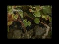 Bodegas Tendal