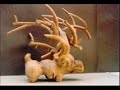 wooden animals.wmv