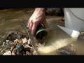Gold panning