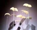 kinetic machines - paper