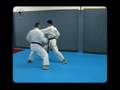 videos de Bunkai - Empi By Yuval Abergil