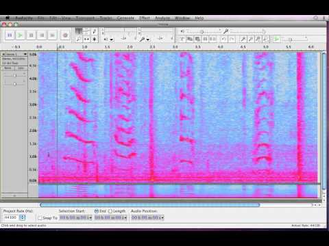how to isolate frequencies in audacity