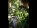 Thailand - Phetchaburi, National Park, Waterfalls, Buddha Caves