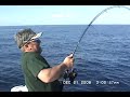 GIANT GREATER AMBERJACK BATTLE #1