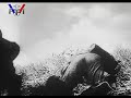 10-mai-1940-guerre-holland-war-two-ffi-resistance-de-gaulle.html