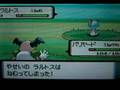 ポケトレ　色違いラルトス