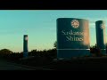 july saskatoon