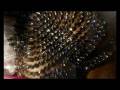 videos de obi baby pcolor gioielli