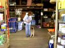 Igor goes to the feed store