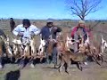 Ver vídeo