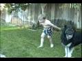 videos de Ricky Van Winkle Runs Through the Sprinklers 1994