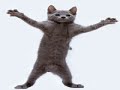 75_ Brazil Street - Nicola Fasano_ Pat-Rich (Original Mix)_2