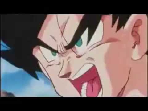 GOKU SS20