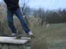 Demotte Jackass Demotte Jackass