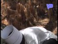 AFRICAN VEGETABLES -... View Video