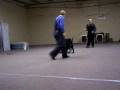 Arko puppy
