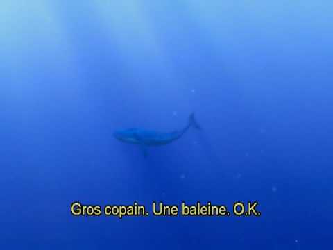 Image de prévisualisation YouTube