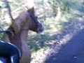 saturday riding cam!