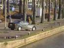 W.J. van den Brink, bomen, Coolhaven,Rochussenstraat R\