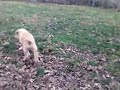 Ellie Hosta Playing2.mov