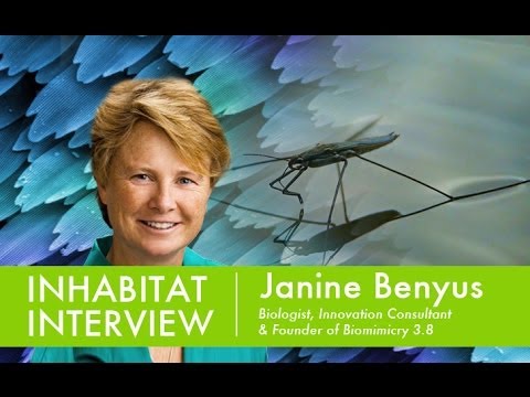 benyus - Learn about the fascinating science of Biomimicry - studying nature's own design to improve the way we design and engineer everything from solar power to the...