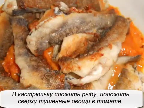 приготовить бычки в томате видео приготовить бычки в томате видео