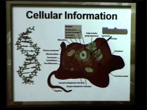 Wonders of the Cell – Chris Ashcraft