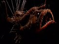 Deep See Video | Psy Trance, Abstract Silence