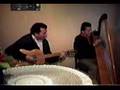 Camilo Zuñiga y Mario Garcia - Arpa - Tonadas Chilenas