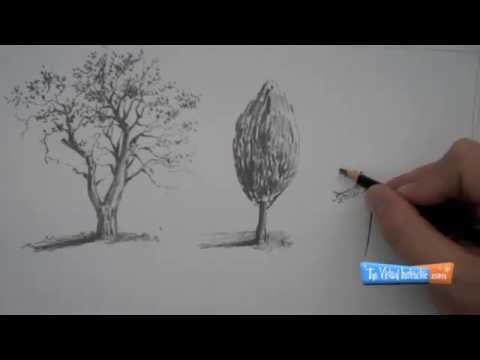 Draw - Visit http://thevirtualinstructor.com/freedrawinglessons.html for more drawing lessons like this one. Learn how to draw trees in this video tutorial. How to ...